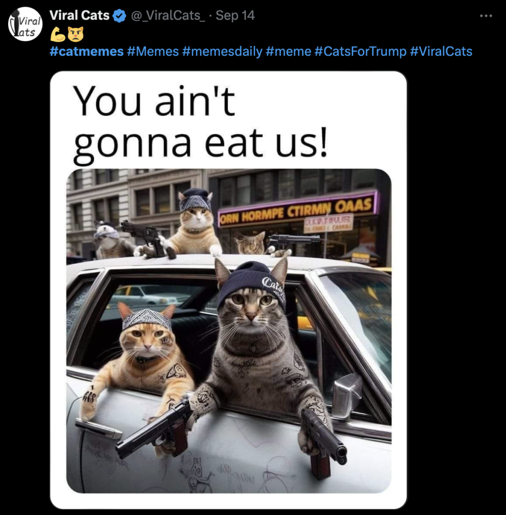 Catmemes hashtag